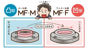 凸側を「MF-M」(メール座)、凹側を「MF-F」(フィメール座)